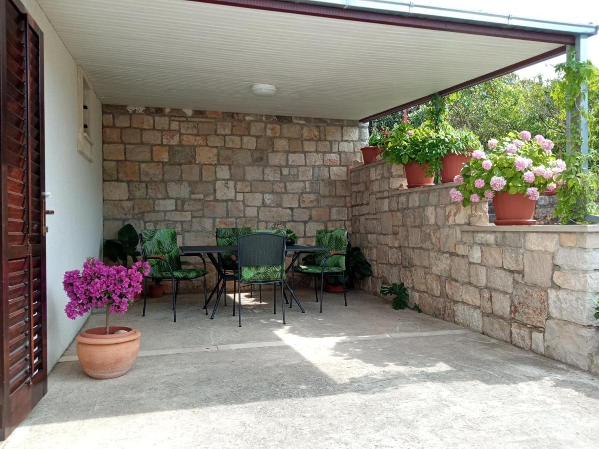 סופטאר Apartment Viola מראה חיצוני תמונה